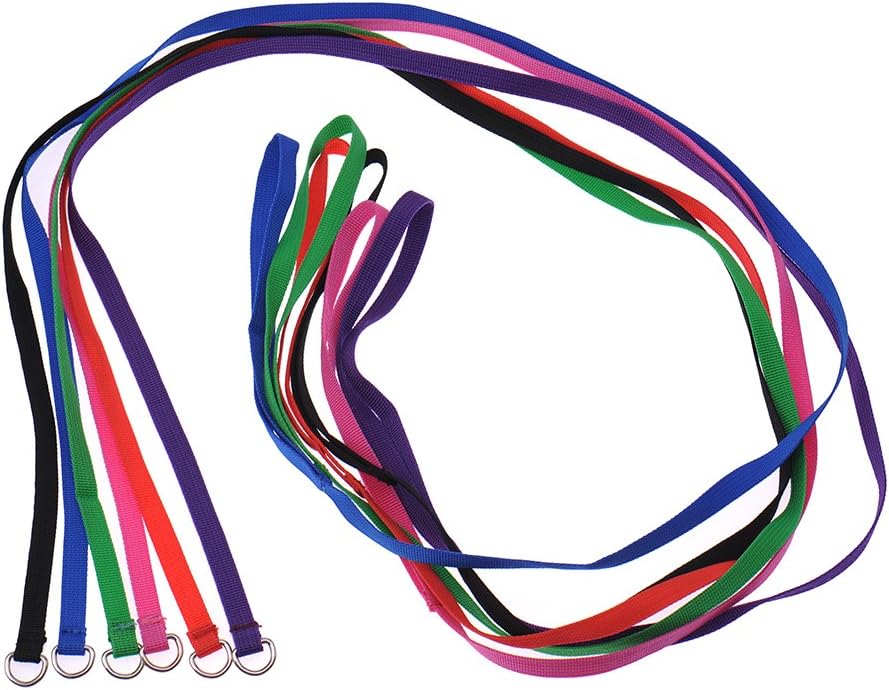 Hypeety 6 Pcs Bulk Pack Slip Leads Dog Pet Grooming Kennel Animal Control Shelter Lead Leash New, 6pcs