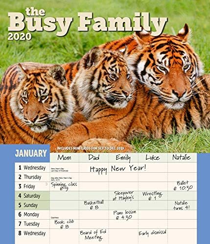 Busy Family Wall Calendar 2020 Monthly January-December 14'' x 12"