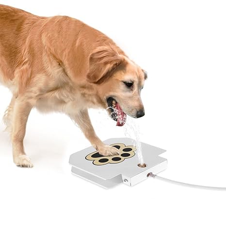 Anself Trinkbrunnen Haustier