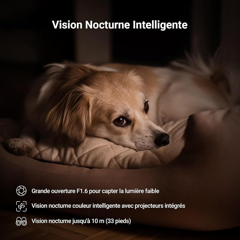 3K(5MP) 2 Pack Camera Interieur, Caméra Surveillance C6N G1 3K