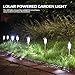 Solar Lights Outdoor, Solar Powered Pathway Landscape Light For Garden /Lawn/Patio/Yard/Walkway/Driveway- Made of Rust-Free Stainless Steel - 12 Pack by Aimiur
