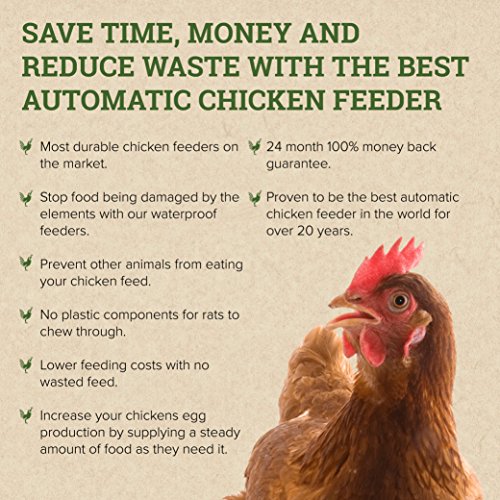 Grandpa's Feeders Automatic Chicken Feeder Long Lasting Galvanized