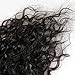 Curly Malaysian Virgin Hair Clip In Extensions Water Wave Real Human Clip In Hair Extensions for Black Women Natural Black 12inch 7pcs/Set 120g