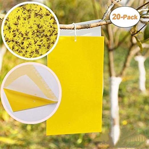 QCHOMEE – Lote de 20 trampas de Pegamento de Doble Cara Amarilla ...