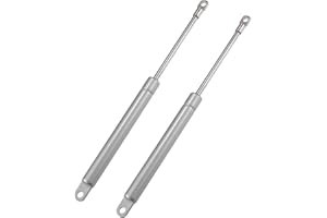 ARISELIFT 10 Inch 45Ib/200N/20kg Gas Springs, 10" Gas Struts Hydraulic Lift Support Toolbox Storage Box Window, 2 Pcs, Silver Tone