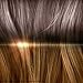Clairol Age Defy Expert Collection, 7 Dark Blonde, Permanent Hair Color, 1 Kit (PACKAGING MAY VARY)