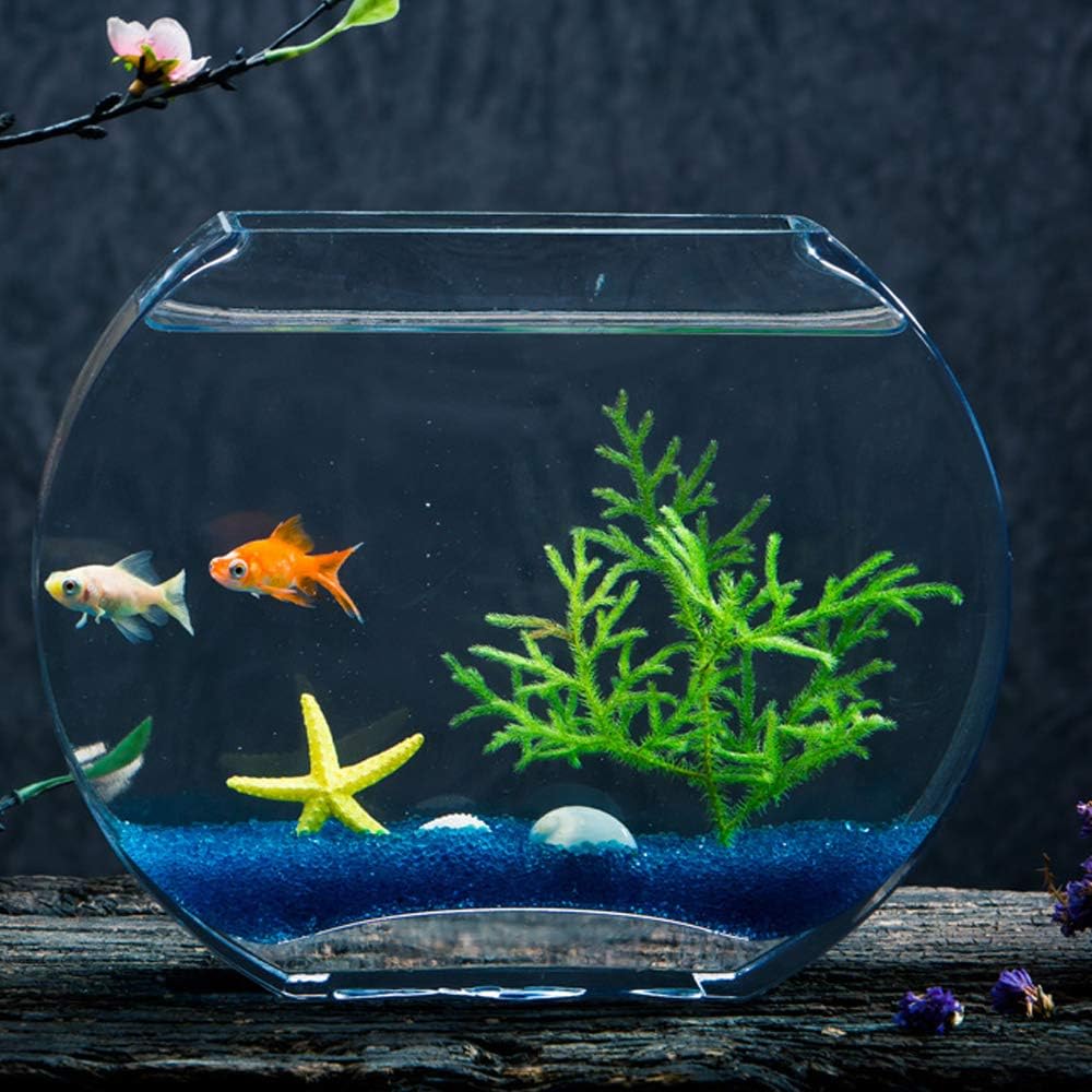 необычные аквариумы. аквариум диамант 120. маленький круглый аквариум. аквариум вертикальный небольшой. аквариум плоский маленький.