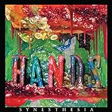 SYNESTHESIA                                        image