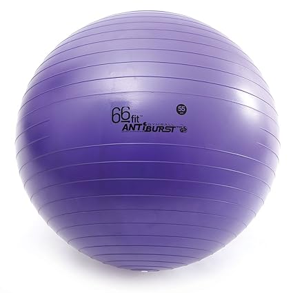 66FIT Pelota de Gimnasia, Incluye inflador, 55 cm: Amazon.es ...