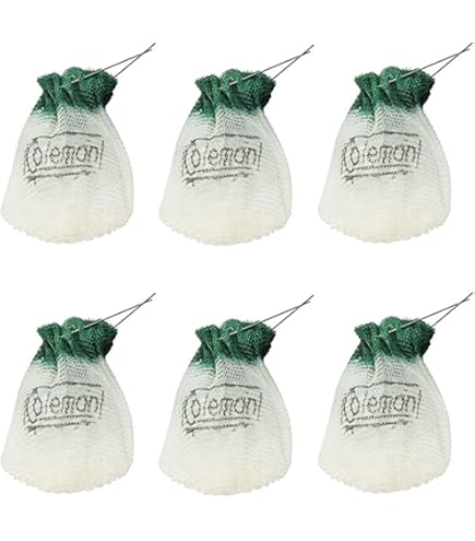 Coleman - コールマン　5個セットランタンアクセサリーREPLACEMENT GLOBE Coleman Fueled Lantern Replacement Globe Clear Straight for