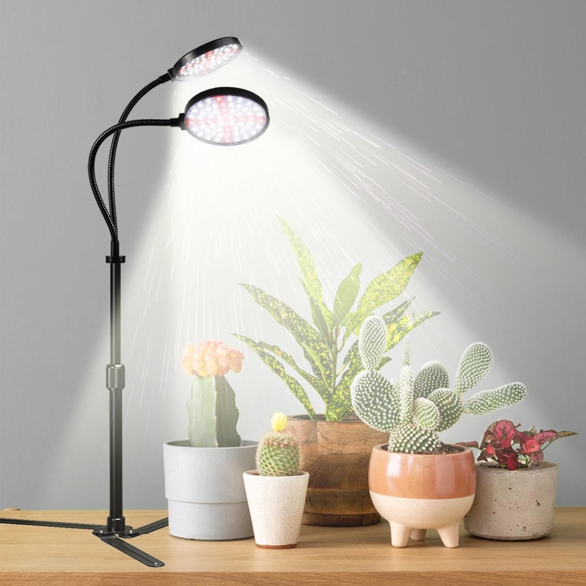 WeeLeeGoo Grow Light 4.7'' LED Dual Ring,80W 6000K Full Spectrum ...