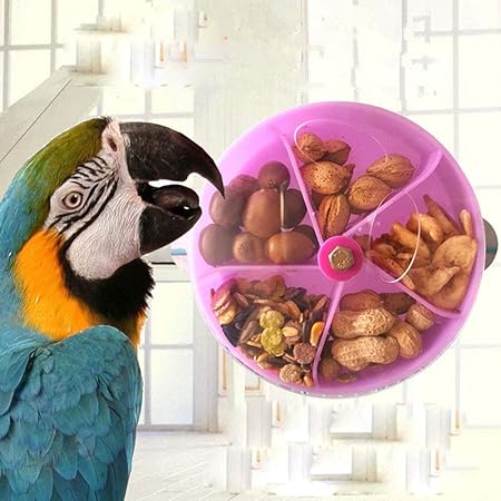 macaw foraging toys
