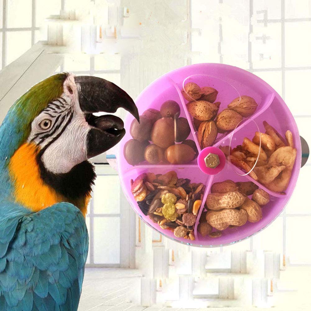 parakeet foraging toys