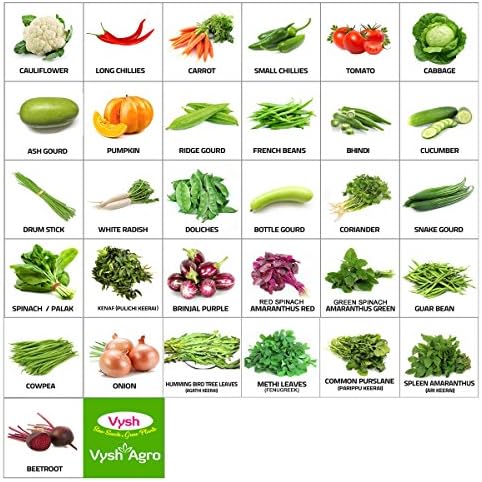 Vysh Agro 31 Varieties Of Organic Vegetable Seeds For Terrace And Kitchen Garden (1800 + Seeds)
