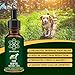 Beyond Bliss Hemp Oil for Dogs & Cats - 650 milligrams - Joint Pain - Separation Anxiety - Chronic Pain Relief - Organic & Natural - Anti-Inflammatory - Grown & Made in USA - Omega 3, 6, 9