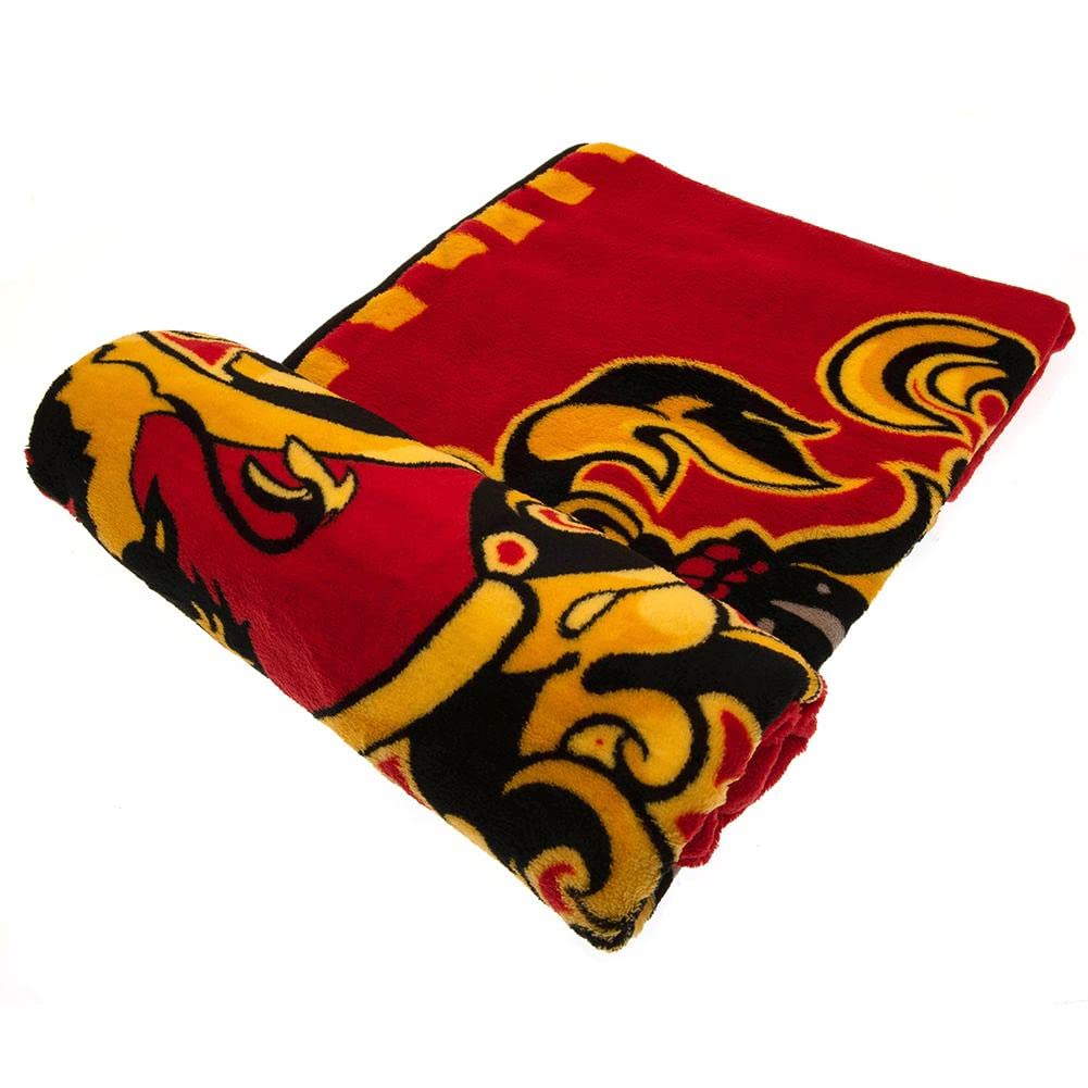 HARRY POTTER Children’s Fleece Blanket, 120 x 150 cm