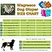 Wegreeco Washable Reusable Premium Dog Diapers, Extra Large, Natural Color, for Female Dog, Pack of 3