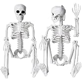 XIMISHOP 2pcs Skeleton Halloween Decoration, 16&rdquo; Hanging Plastic Skeleton | Full Body Posable Skeleton Movable Joints for Halloween Decoration Indoor Outdoor