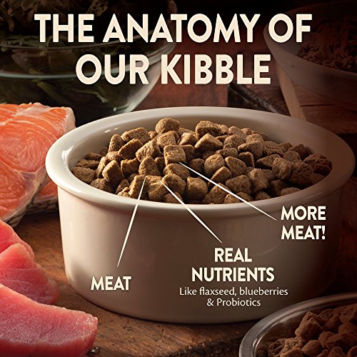 Wellness Core Small Breed Dog Food - Image 4