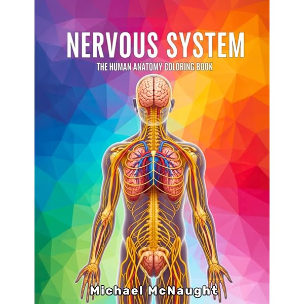 Amazon.com: Nervous System Coloring Book: Learn the Basic Anatomy