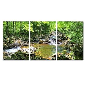 3 Piece Canvas Wall Art - Beautiful Landscape/Scenery Forest Stream Smolny in Russian Primorye Reserve in Autumn - Modern Home Art Stretched and Framed Ready to Hang - 16"x24"x3 Panels