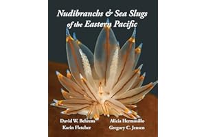 Nudibranchs & Sea Slugs of the Eastern Pacific