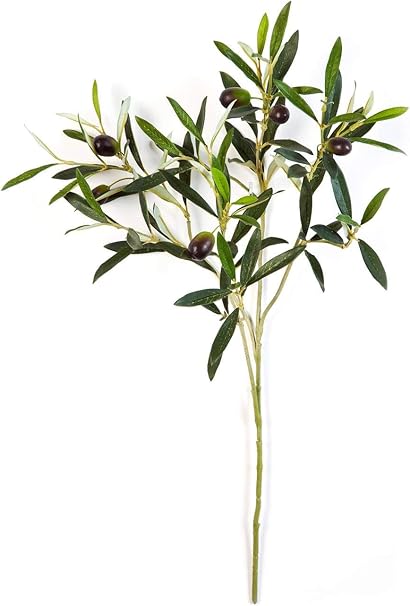 Artplants De Branche D Olivier Artificielle 105 Feuilles 6 Olives Vert 50cm Branche Artificielle Olivier Artificiel Amazon Fr Cuisine Maison