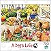 Buffalo Games - Puppy Playground - 750 Piece Jigsaw Puzzle Multicolor, 24