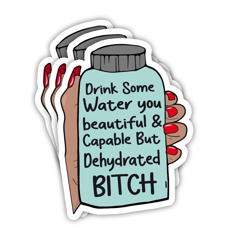 Photo 1 of (3PCS) Drink Some Water You Beautiful and Capable But Dehydrated B*tch Sticker, Sticker for Water Bottles, Hard Hat Sticker, Car Decals, Dehydrated Water Decal, Funny Sticker for Adults