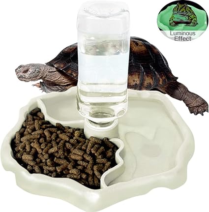 Pet Supplies Wingoffly Automatic Reptile Feeders Waterer