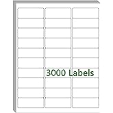 100 Sheets 30 UP 1" x2-5/8 Shipping Labels 3000 Pcs FBA Label Stickers for Laser/Inkjet Printers, White Blank Sticker Name Tags, 30 Per Page