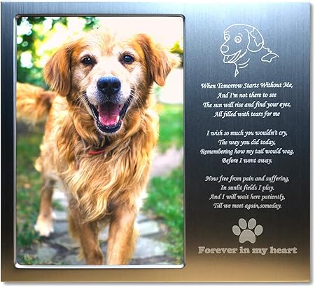 dog memorials amazon