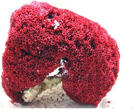 Ldfn Fish Tank Lumineux Sous L Eau Decoration Corail Corail Rouge