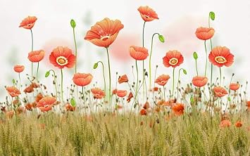 Custom Murals Wallpaper Livingroom Bedroom And Tv Background Home Decor Poppy Flower Wheat Field 350cmx256cm Amazon Com