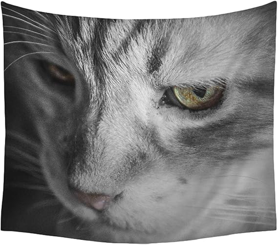 Amazon.de: LAAT Katzenmuster Wand Wandtepiche Wanddekoration Tier