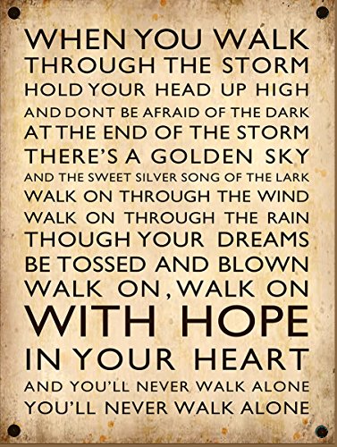 Targa In Metallo Vintage U.S.A Old School Da Parete - Foto 7