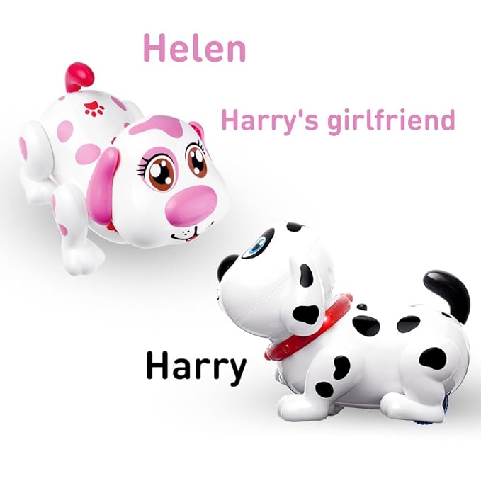 robot harry dog