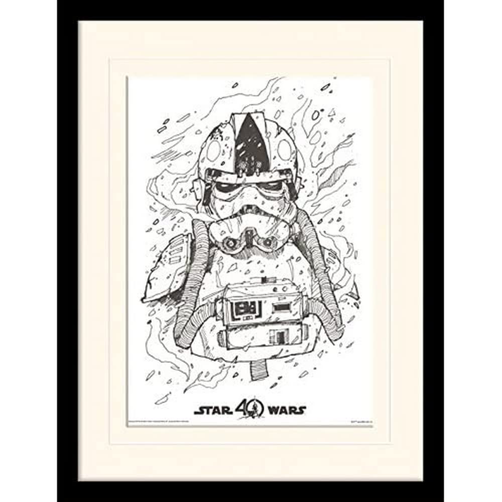 Star Wars 40th Anniversary (AT-AT Pilot) 30 x 40cm Memorabilia