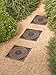 Daisy Stepping Stone