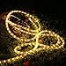 Brizled 18ft 216 LED Rope Lights, 120V UL Listed Plugin Rope Lights Connectable with Clear PVC Tube, Indoor/Outdoor Decorative Rope Lighting for Backyards, Garden, Patio, Christmas, Warm White(3000K)