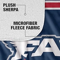 Florida Atlantic University Primary Logo Stripes