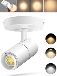 VANoopee 3-Color Zoomable Ceiling Spot Lights