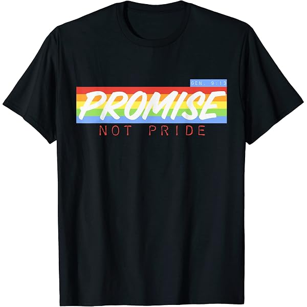 Amazon.com: Promise Not Pride Gay LGBT Flag Zip Hoodie : Clothing