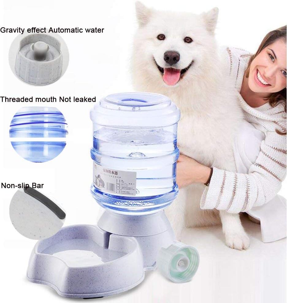 Pet Supplies : Blessed family Cat Water Fountain, Automatic Cat Feeder, Dog Water Dispenser, 1 Gal Pet Automatic Feeder Waterer (Waterer+Feeder) : 