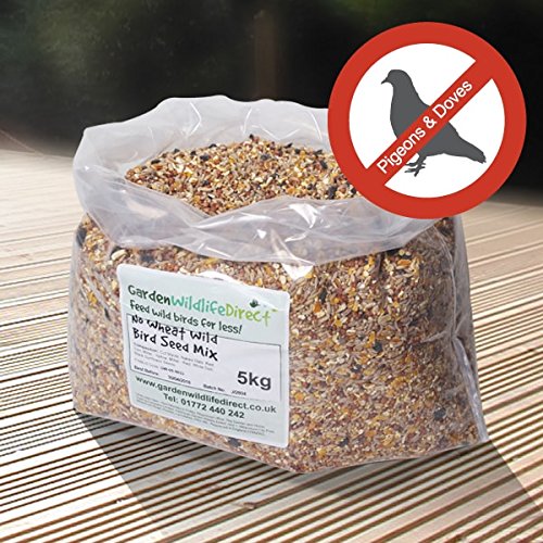 Bird Seed Mix Garden at Ronald Roche blog