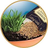 Clementoni Harry Potter Mandrake Kit Science & Play Grow Plant view 6