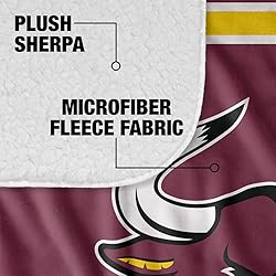 Colorado Mesa University Primary Logo Stripes