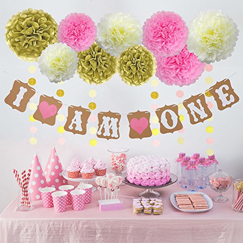 80 Off Pretmanns 1st Birthday Girl Party Decorations First