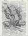 Dictionary Art Print - Kraken attacking Boat - Printed on Recycled Vintage Dictionary Paper - 8.5