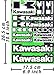 Kawasaki Decals Stickers Motorcycle Vinyl Graphic Set